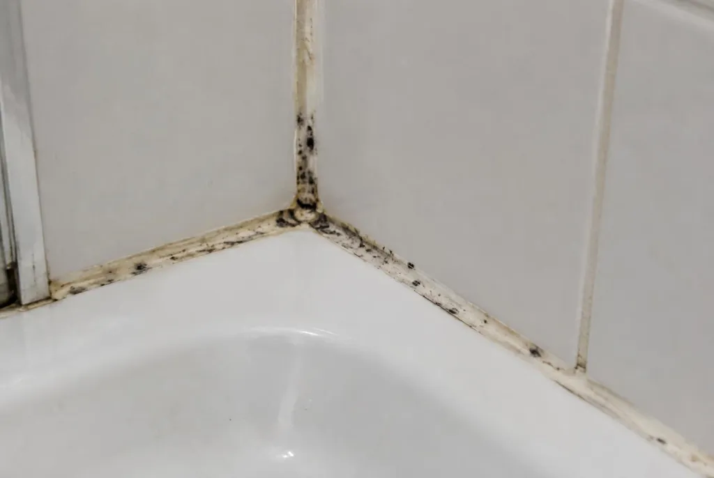 Kitbedrijf Aalsmeer – beschimmelde kitranden